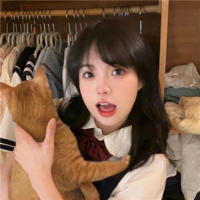 安居