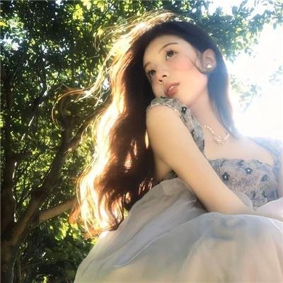 傻妹从军